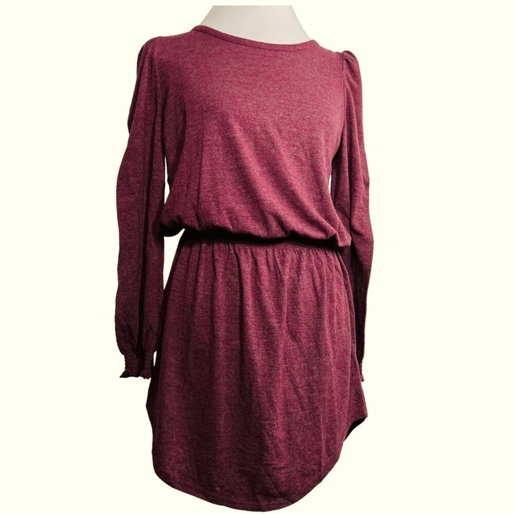 Chaser Pomegrante Tunic Long Sleeve Dress Top L